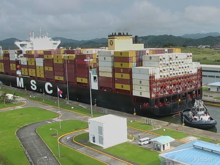 MSC Douala VIII